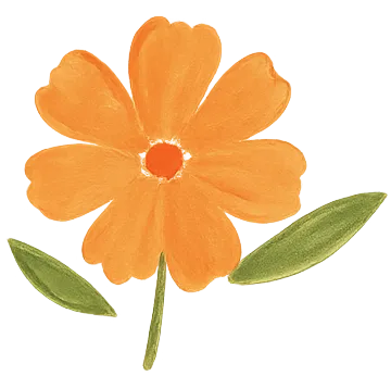 Ilustración de flores