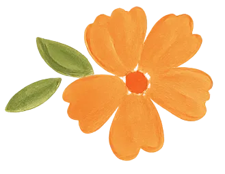 Ilustración de flores