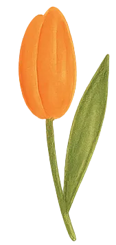 Ilustración de flores