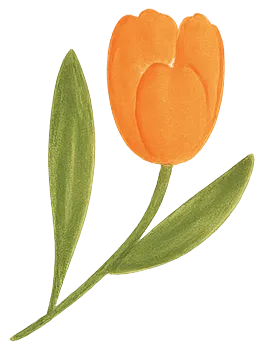 Ilustración de flores