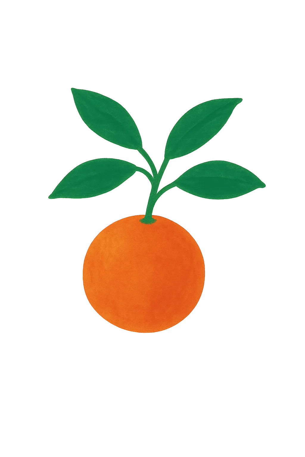 Ilustración de una naranja
